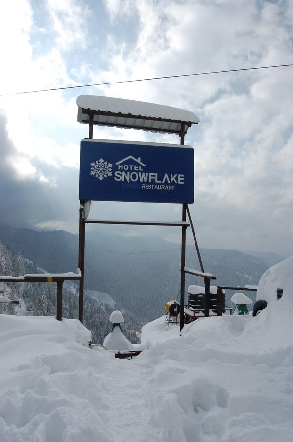Hotel Snowflake Нарканда Экстерьер фото